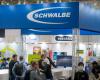 Schwalbe Rolls with the Times