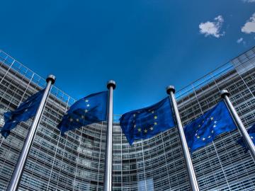 EU Imposes Provisional Anti Dumping Duties